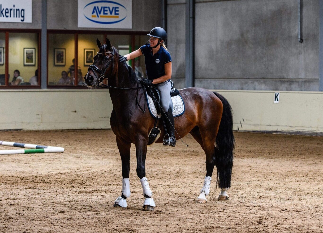 Equi support Oud Heverlee Paardrijles