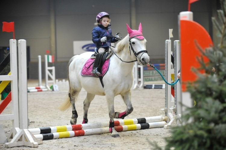 Ponylessen Leuven