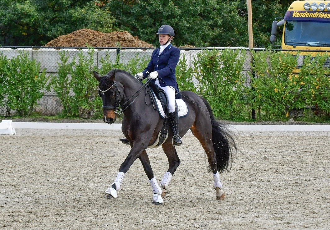 Equi support Oud Heverlee Dressuur